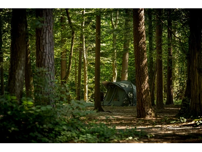 Reisemobilstellplatz - SUP Möglichkeit - Luče - Part of our woods - Forest Camping Mozirje
