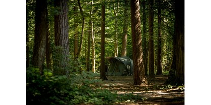 Reisemobilstellplatz - Entsorgung Toilettenkassette - Snovik - Part of our woods - Forest Camping Mozirje