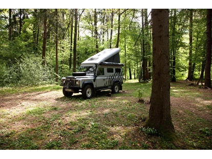 Reisemobilstellplatz - camping.info Buchung - Luče - Part of our woods - Forest Camping Mozirje