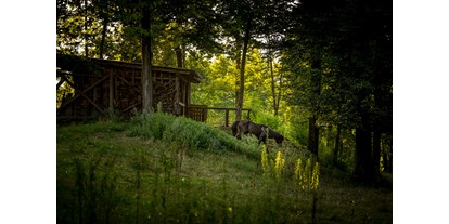 Reisemobilstellplatz - SUP Möglichkeit - Part of our animal park - Forest Camping Mozirje