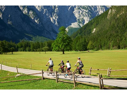 Motorhome parking space - Slovenia - Surrounding points of interest - Forest Camping Mozirje