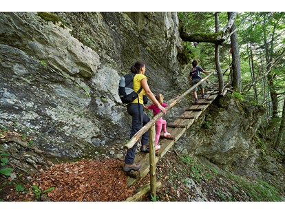 Reisemobilstellplatz - Pomurje / Pohorjegebirge & Umgebung / Savinjska - Surrounding points of interest - Forest Camping Mozirje