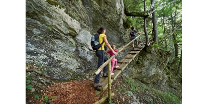 Reisemobilstellplatz - Stromanschluss - Rečica ob Savinji - Surrounding points of interest - Forest Camping Mozirje