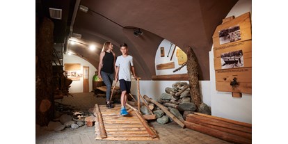 Reisemobilstellplatz - Visit of local museums - Forest Camping Mozirje