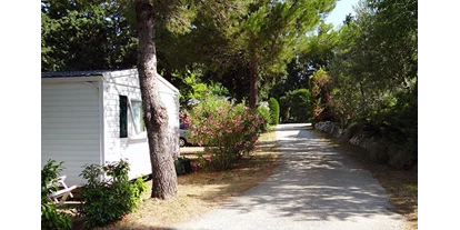 Reisemobilstellplatz - Spielplatz - Provence-Alpes-Côte d'Azur - Camping Fontisson