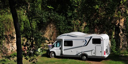 Motorhome parking space - Wohnwagen erlaubt - Ile de France - Camping Campix