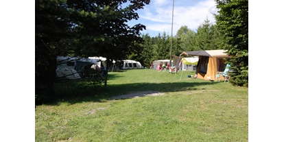 Motorhome parking space - Sloup v Moravském Krasu - SVR Camping De Bongerd CZ