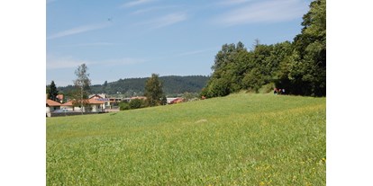 Reisemobilstellplatz - Benešov - Omgeving - SVR Camping De Bongerd CZ