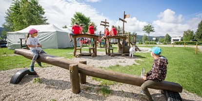 Reisemobilstellplatz - Spielplatz - Pürnstein - Camping Lipno Modrin
