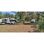 Parkeerplaats voor campers - Camp Bursztynowy Las