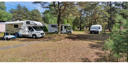 Place de parking pour camping-car - Pępowo - Camp Bursztynowy Las