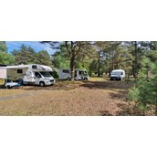RV parking space - Camp Bursztynowy Las