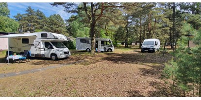 Motorhome parking space - Duschen - Pomerania - Camp Bursztynowy Las