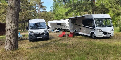 Place de parking pour camping-car - Umgebungsschwerpunkt: Strand - Zoppot - Camp Bursztynowy Las