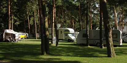 Motorhome parking space - Stromanschluss - Poland - Camping Motel Wok nr 90