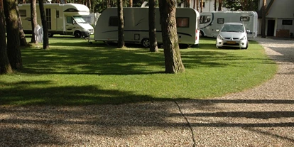 Place de parking pour camping-car - Hunde erlaubt: Hunde erlaubt - Kręczki - Camping Motel Wok nr 90