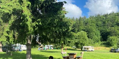 RV park - Stromanschluss - Zakopane - Camping Harenda