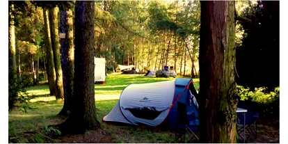 Parkeerplaats voor camper - Art des Stellplatz: eigenständiger Stellplatz - Katowice - Camp9 nature campground Poland