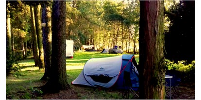 Motorhome parking space - SUP Möglichkeit - Tarnowskie Góry - Camp9 nature campground Poland