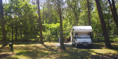 Posto auto camper - Badestrand - Pomerania occidentale - 7 Żab