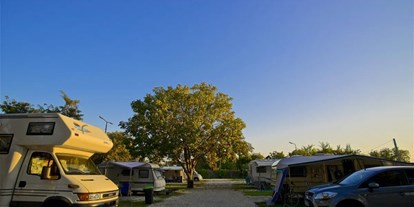 Motorhome parking space - Badestrand - Szentkirály - Barack Thermal Camping Tiszakécske