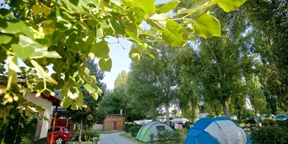 Parkeerplaats voor camper - Swimmingpool - Szentkirály - Barack Thermal Camping Tiszakécske