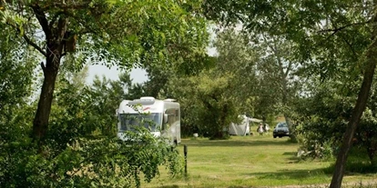 Place de parking pour camping-car - Swimmingpool - Tiszagyenda - Camping Puszta Eldorado  - Camping Puszta Eldorado