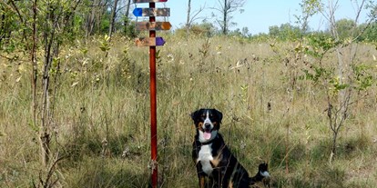 Motorhome parking space - Hunde erlaubt: Hunde erlaubt - Hungary - Pusztacamping Oazis Tanya