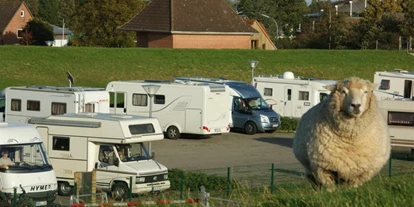 Place de parking pour camping-car - öffentliche Verkehrsmittel - Oberndorf (Landkreis Cuxhaven) - Von Schafen bewacht - Stellplatz am Elbdeich