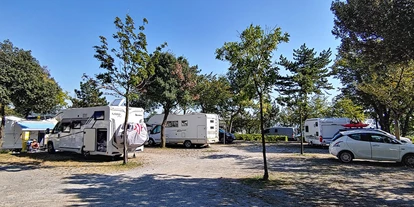 Motorhome parking space - Hunde erlaubt: Hunde erlaubt - Ajdovščina - Camping Village Mare Pineta****