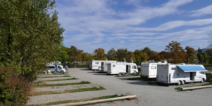 Place de parking pour camping-car - Hunde erlaubt: Hunde teilweise - Häusern (Landkreis Waldshut) - Wohnmobilstellplatz an der Wutach