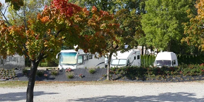 Plaza de aparcamiento para autocaravanas - WLAN: am ganzen Platz vorhanden - Höchenschwand - Wohnmobilstellplatz an der Wutach