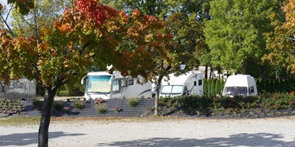 Motorhome parking space - Bademöglichkeit für Hunde - Schluchsee - Wohnmobilstellplatz an der Wutach