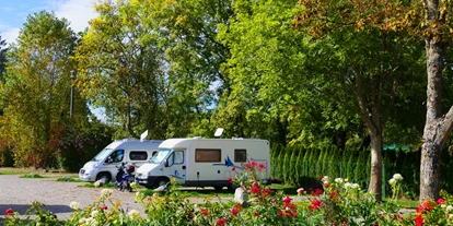 Posto auto camper - Spielplatz - Höchenschwand - Wohnmobilstellplatz an der Wutach