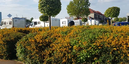 Reisemobilstellplatz - Wohnwagen erlaubt - Emmeloord - Jachthaven De Molenwaard