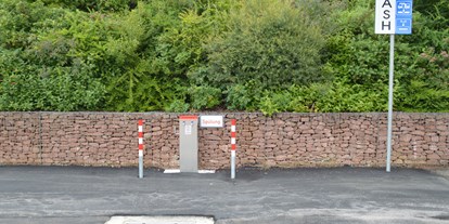 Motorhome parking space - Hunde erlaubt: Hunde erlaubt - Veitshöchheim - Wohnmobilstellplatz Martinswiese
