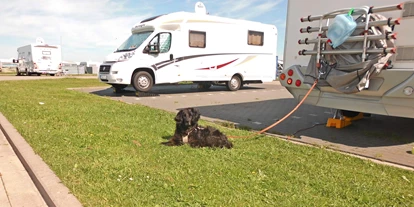 Posto auto camper - Restaurant - Sande (Friesland) - Hunde sind auf dem Wohnmobilstellplatz in Harlesiel herzlich Willkommen! - Wohnmobilstellplatz am Campingplatz Harlesiel