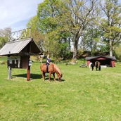 Parkeerplaats voor campers - Pferde / Ponyreiten - Risebo Gård