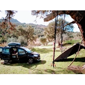 Posto auto per camper - Stellplatz unter Bäumen - Mattagiana nature retreat