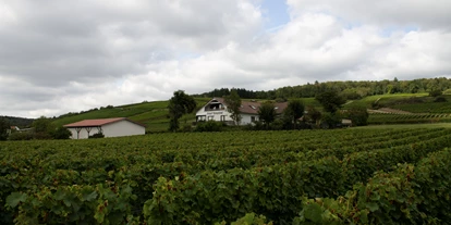 Reisemobilstellplatz - Umgebungsschwerpunkt: am Land - Wöllstein - Weingut in den Weinbergen