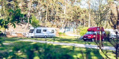 Reisemobilstellplatz - Art des Stellplatz: im Campingplatz - Göhren (Vorpommern-Rügen) - Wohnmobilareal - Regenbogen Göhren