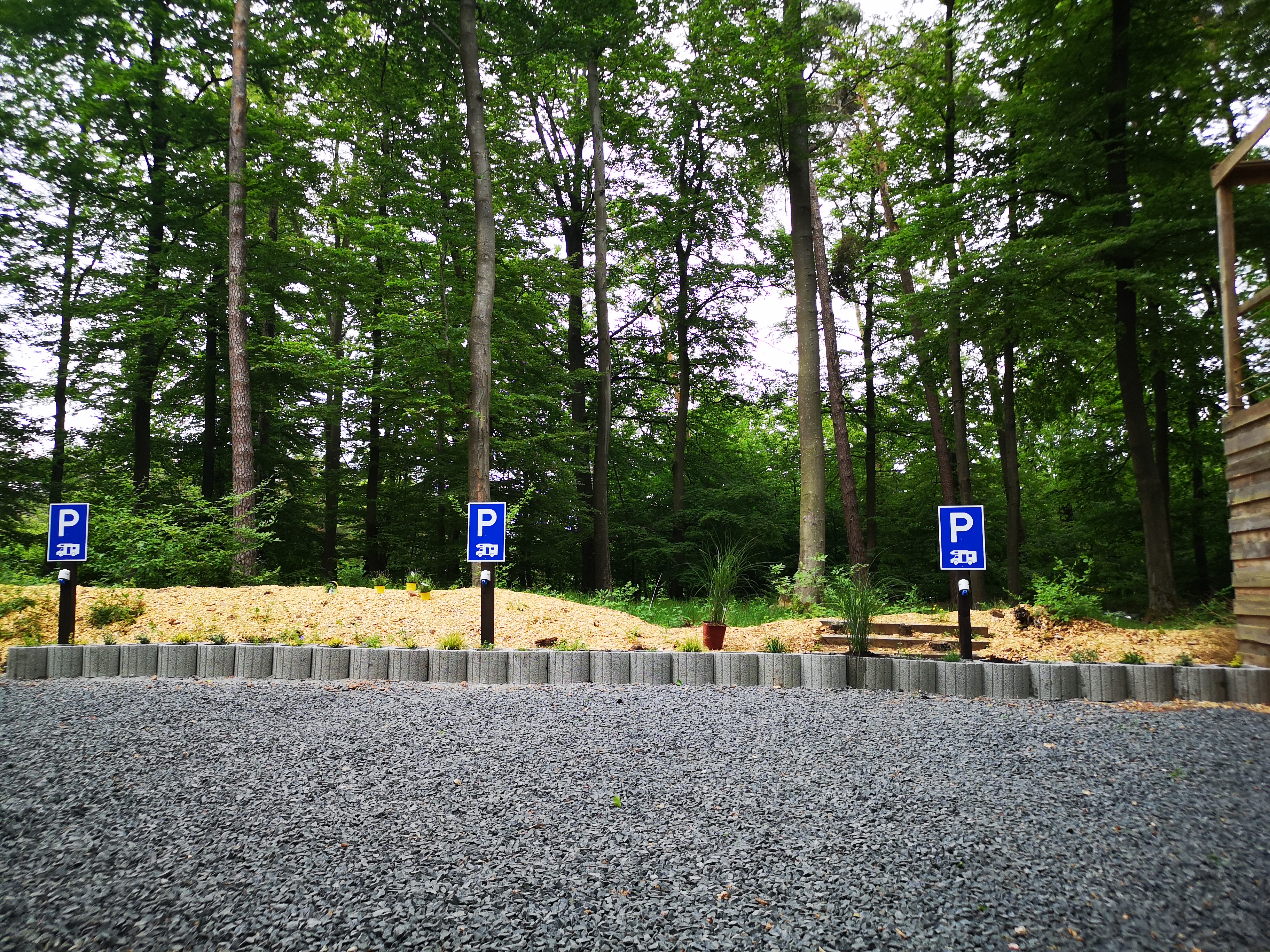 Wohnmobilstellplatz - Stellplatz TiLu Adventure Forest