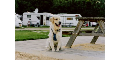 Reisemobilstellplatz - Hunde erlaubt: Hunde erlaubt - Limburg - Camperplaats Roerdalen