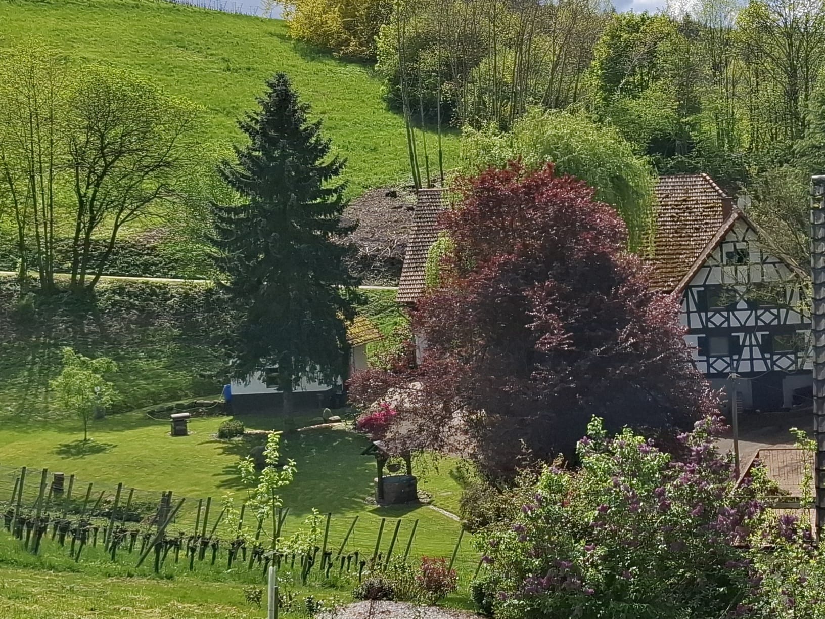 Wohnmobilstellplatz - Idylle pur  - Stellplatz "nicht von der Stange" nah beim Königsrain    