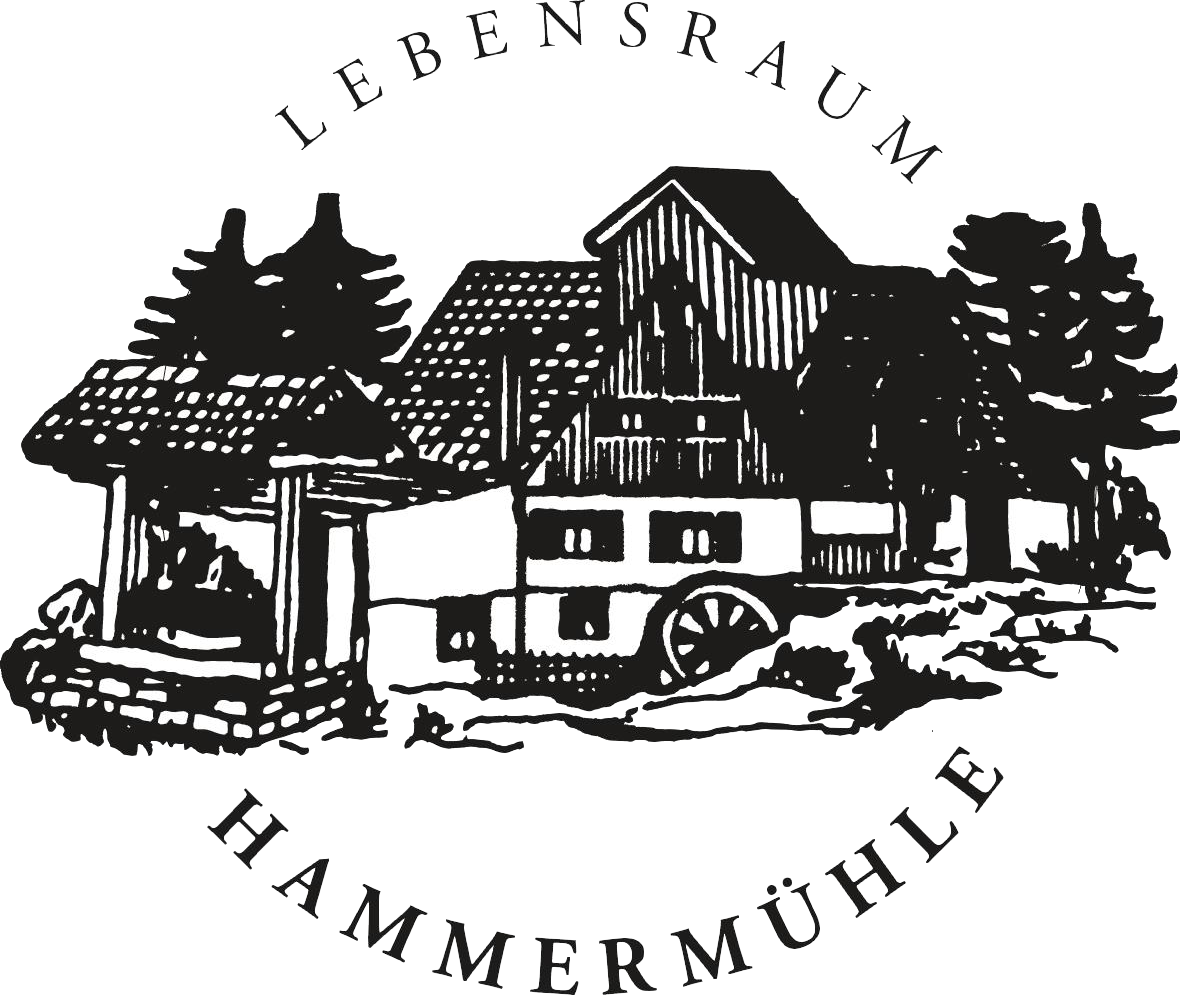 Motorhome parking ground - Hof- und Seestellplatz Hammermühle