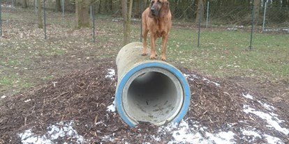 Motorhome parking space - Hunde erlaubt: Hunde erlaubt - Lower Saxony - Hundeauslauf - Wohnmobil- und Campingpark Ambergau