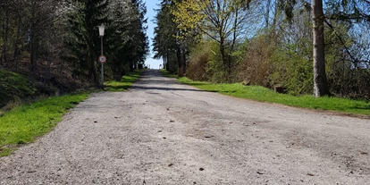 Posto auto camper - Hunde erlaubt: Hunde erlaubt - Bassa Sassonia - Zufahrt zum Platz - Wohnmobil- und Campingpark Ambergau