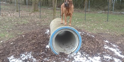 Motorhome parking space - Hunde erlaubt: Hunde erlaubt - Lower Saxony - Hundeauslauf - Wohnmobil- und Campingpark Ambergau