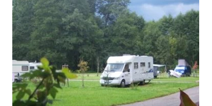 RV park - Lübbenau/Spreewald - Umsäumt von vielen Bäumen, befinden sich auf mehreren Wiesenflächen 80 Komfortstellplätze für Caravan-und Wohnmobile, nach Bedarf mit Wasser-und Abwasseranschluss - Kneipp- und Erlebniscamping an den Spreewaldfließen