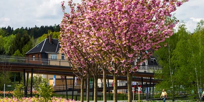 Reisemobilstellplatz - Art des Stellplatz: bei Freizeitpark - Flöha - Am Gradierwerk Oelsnitz/Erzgeb.